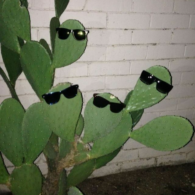 TMM