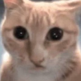 TMM