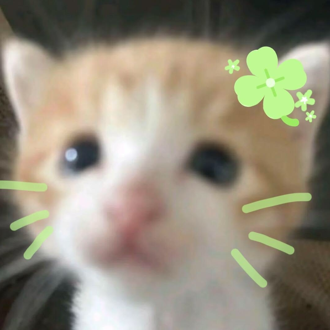 TMM